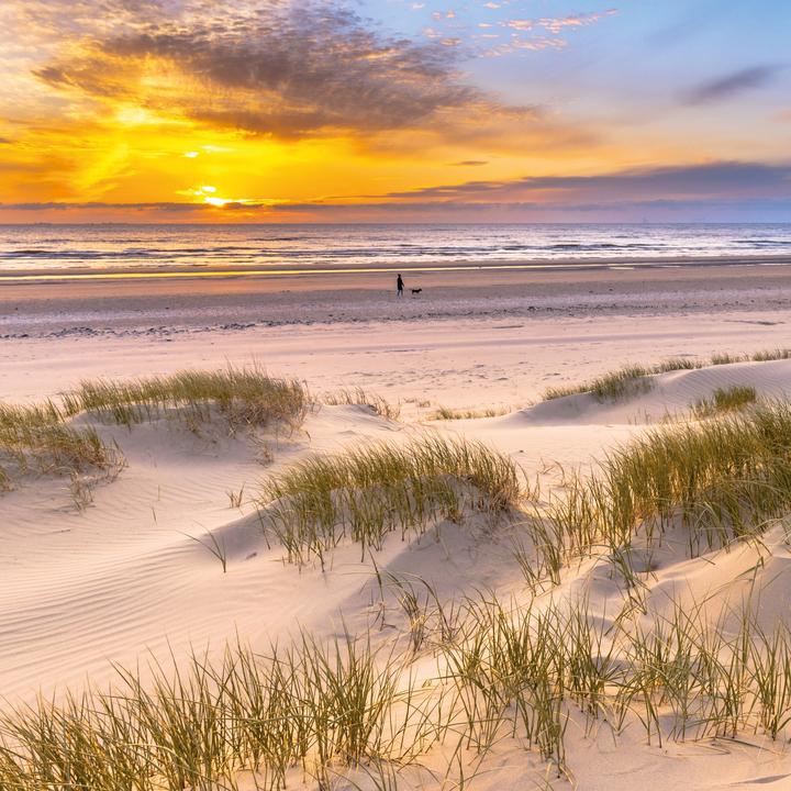 Produktbild Nordsee/Northern Sea 2026 (30 x 30 cm, Weicher Einband, Deutsch, Spanisch, Französisch, Tschechisch, Polnisch, Niederländisch, Italienisch, Englisch)