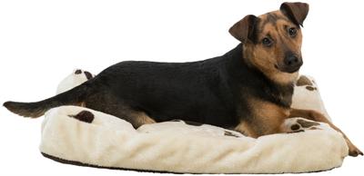 Actual product image Trixie Cushion Gino (Dog)