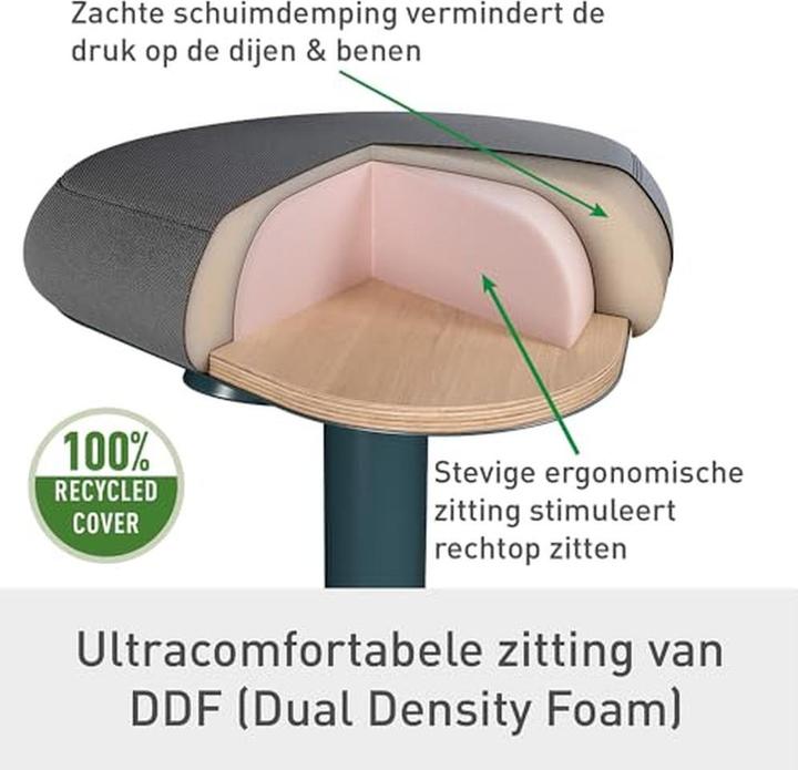 Produktbild Leitz Ergo Active