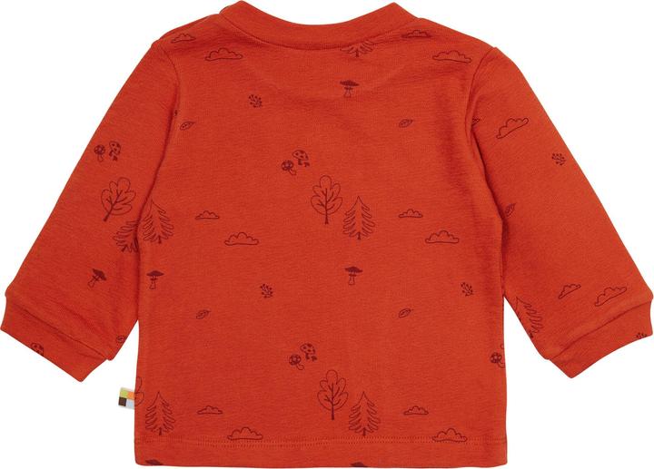 Immagine prodotto loud + proud Camicia in maglia strutturata Terracotta (74)