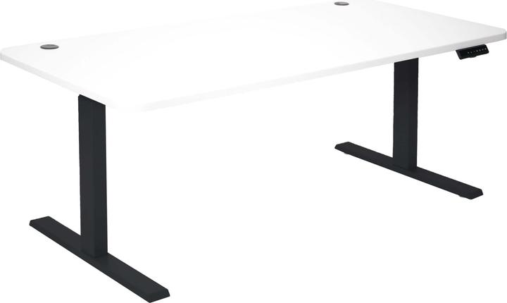 Immagine prodotto Swisshandel24 Scrivania (160 x 80 x 121 cm)