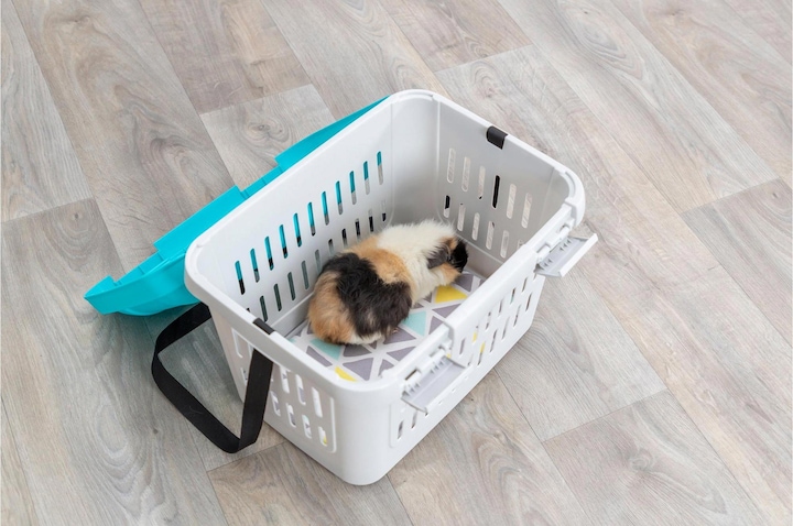 Produktbild Trixie Transportbox Midi-Capri für Zwergkaninchen (Nager, Reflektoren)