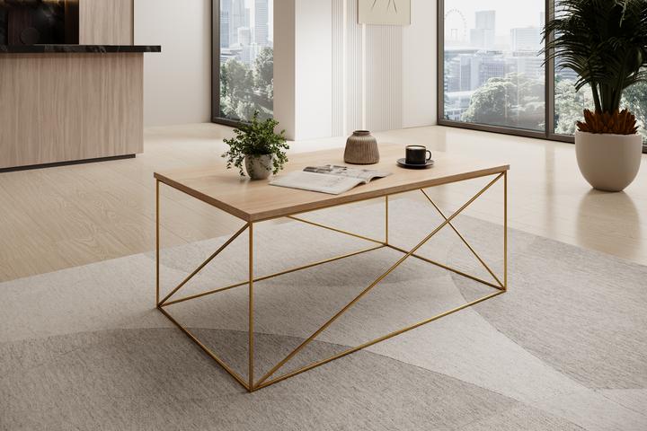 Actual product image ADRK Furniture Dante