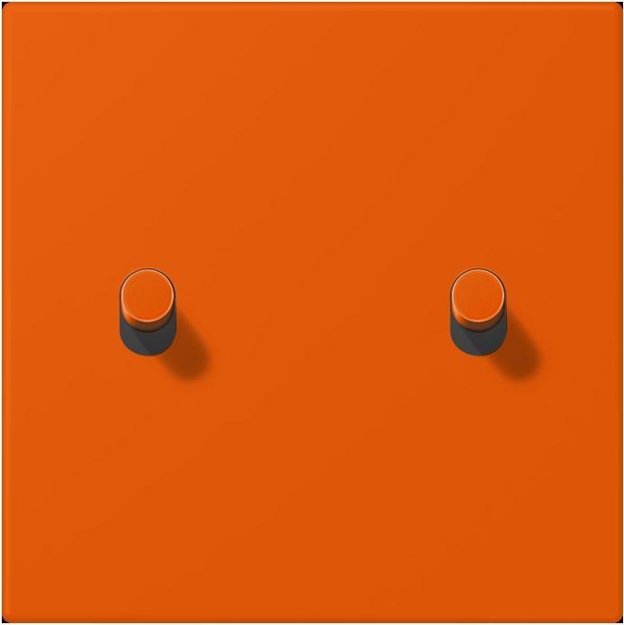 Actual product image JUNG LC12-5R0260