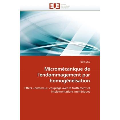 Micromécanique de l'endommagement par homogénéisation, Fachbücher