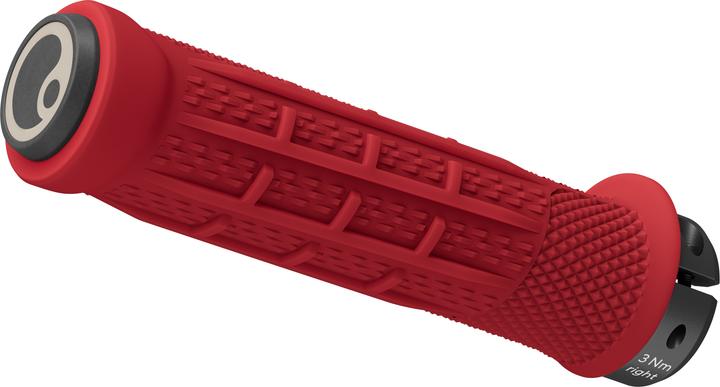 Actual product image Ergon Lenkergriffe GDH Team