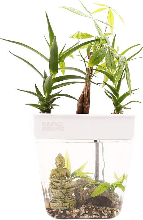 Back to the roots voor kruiden, microgreens, bamboe, vetplanten en kamerplanten, groen, 3 gallons