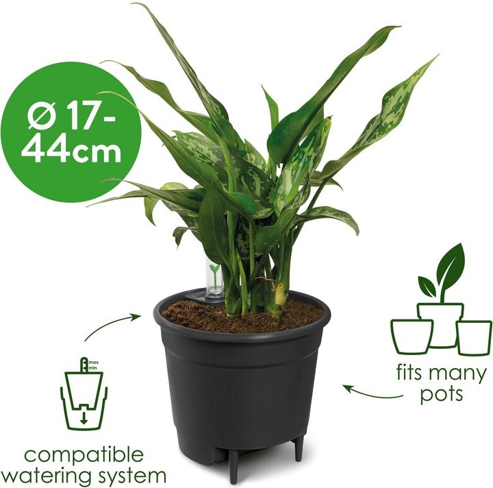 Image du produit Elho Systèmes d'auto-irrigation