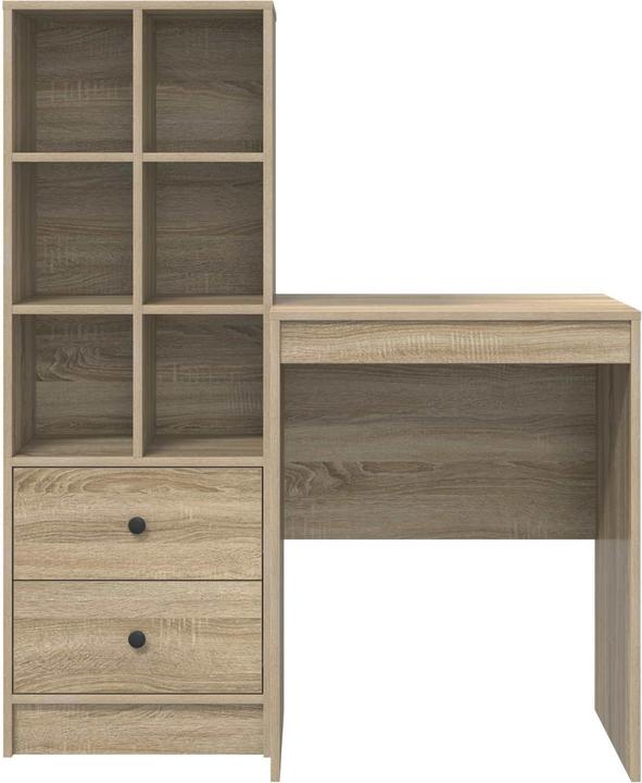 Actual product image vidaXL Desk (50 x 105.50 x 127 cm)