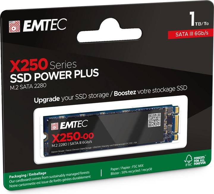 Actual product image Emtec X250 (1000 GB, M.2 2280)