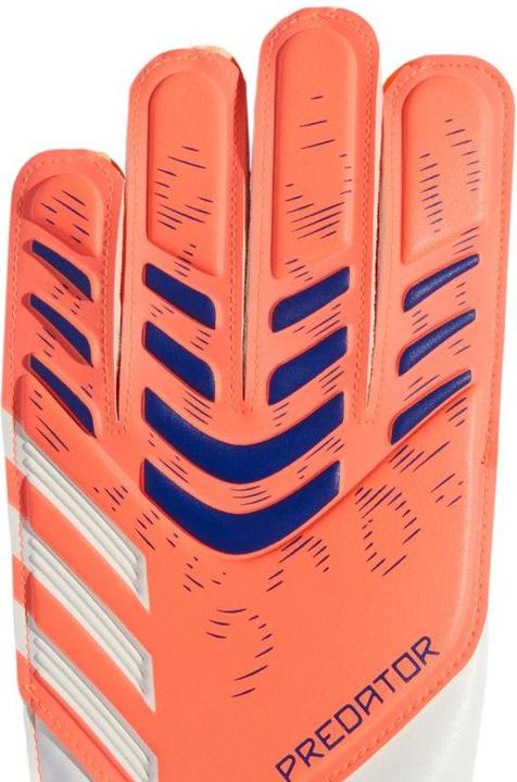 Actual product image Adidas Predator Trainings-Torwarthandschuhe für Kinder (5)