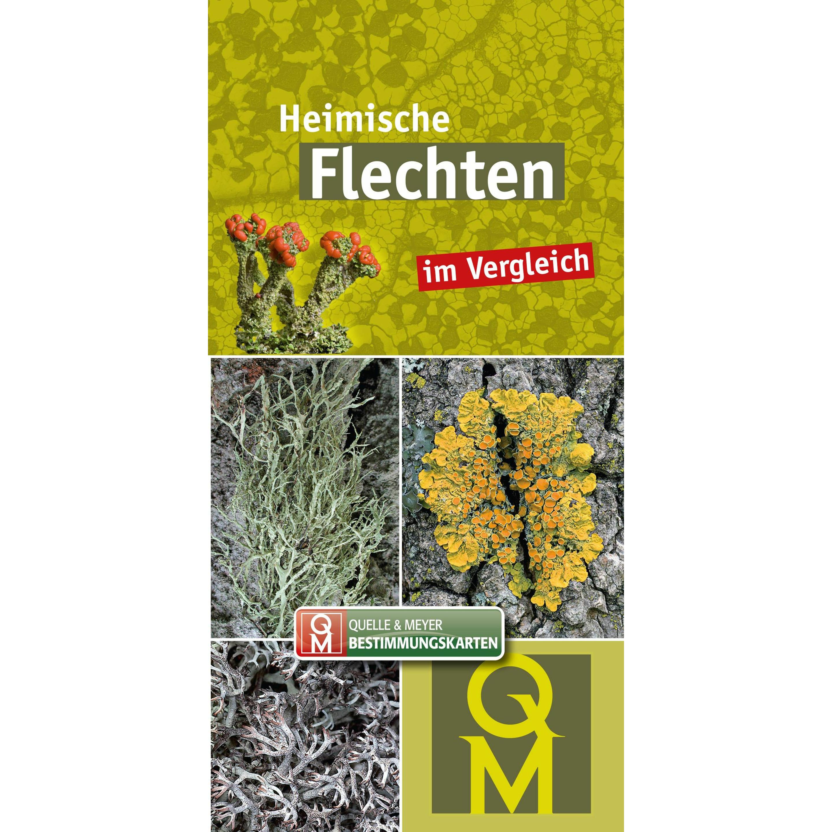 Heimische Flechten, Ratgeber von Quelle & Meyer Verlag