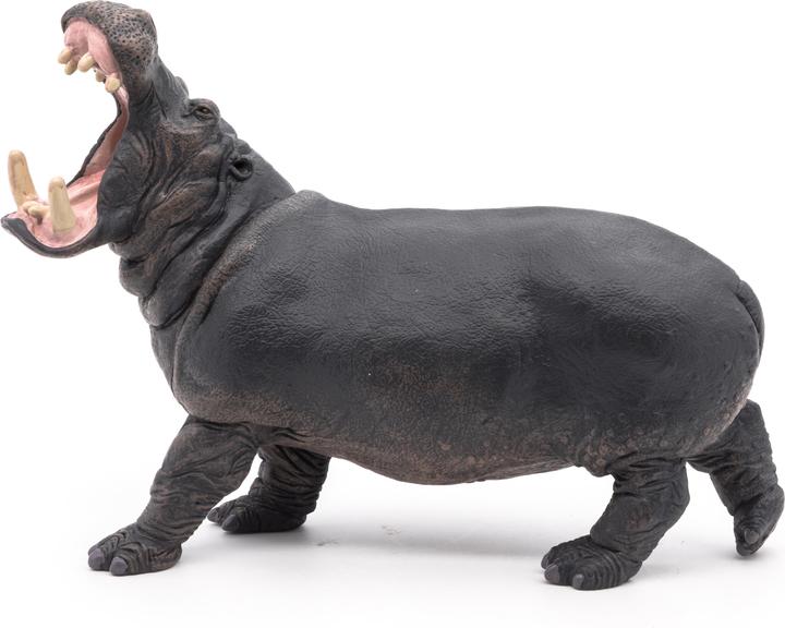 Actual product image Papo Hippo
