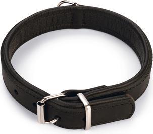 Image du produit Karlie Collier Rondo, large (M, Chien, Promenade)