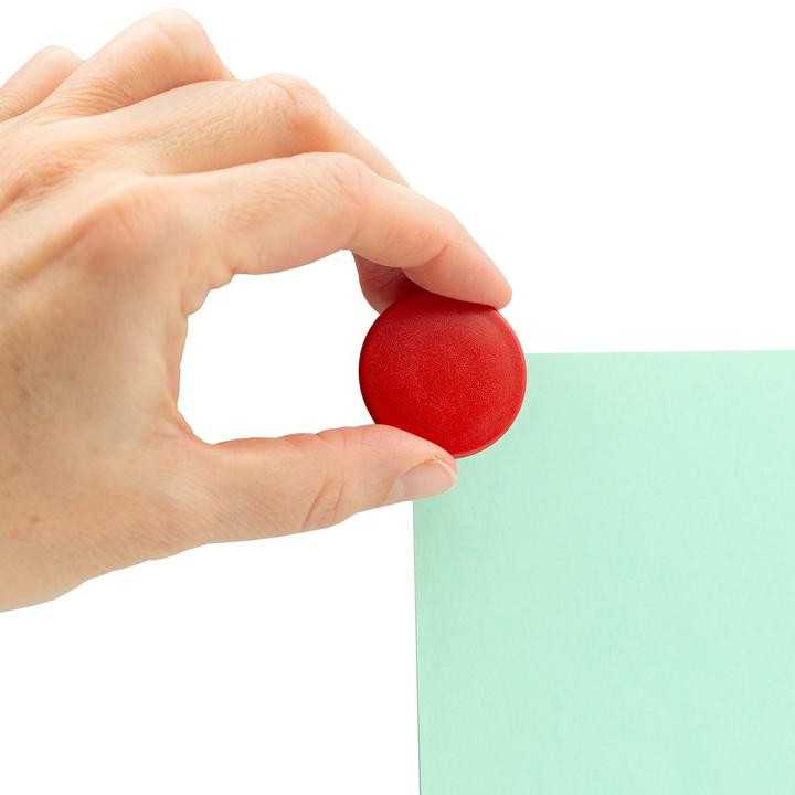 Actual product image Boston Xtra Holding magnet round (1 x)