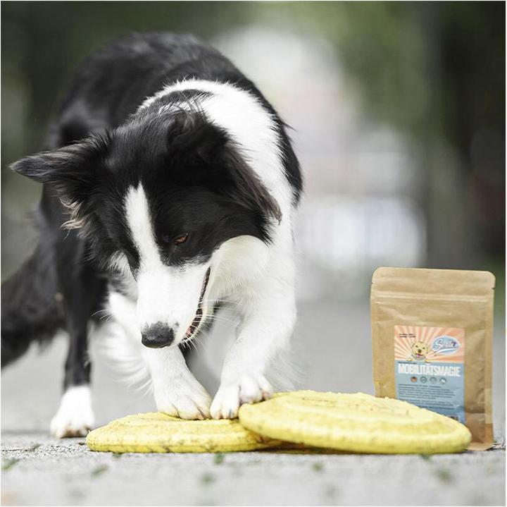 Produktbild Sollis Ergänzungsfutter Mobilitätsmagie - Gelenkpulver 100g (Senior, Junior, Adult, 1 Stk., 100 g)