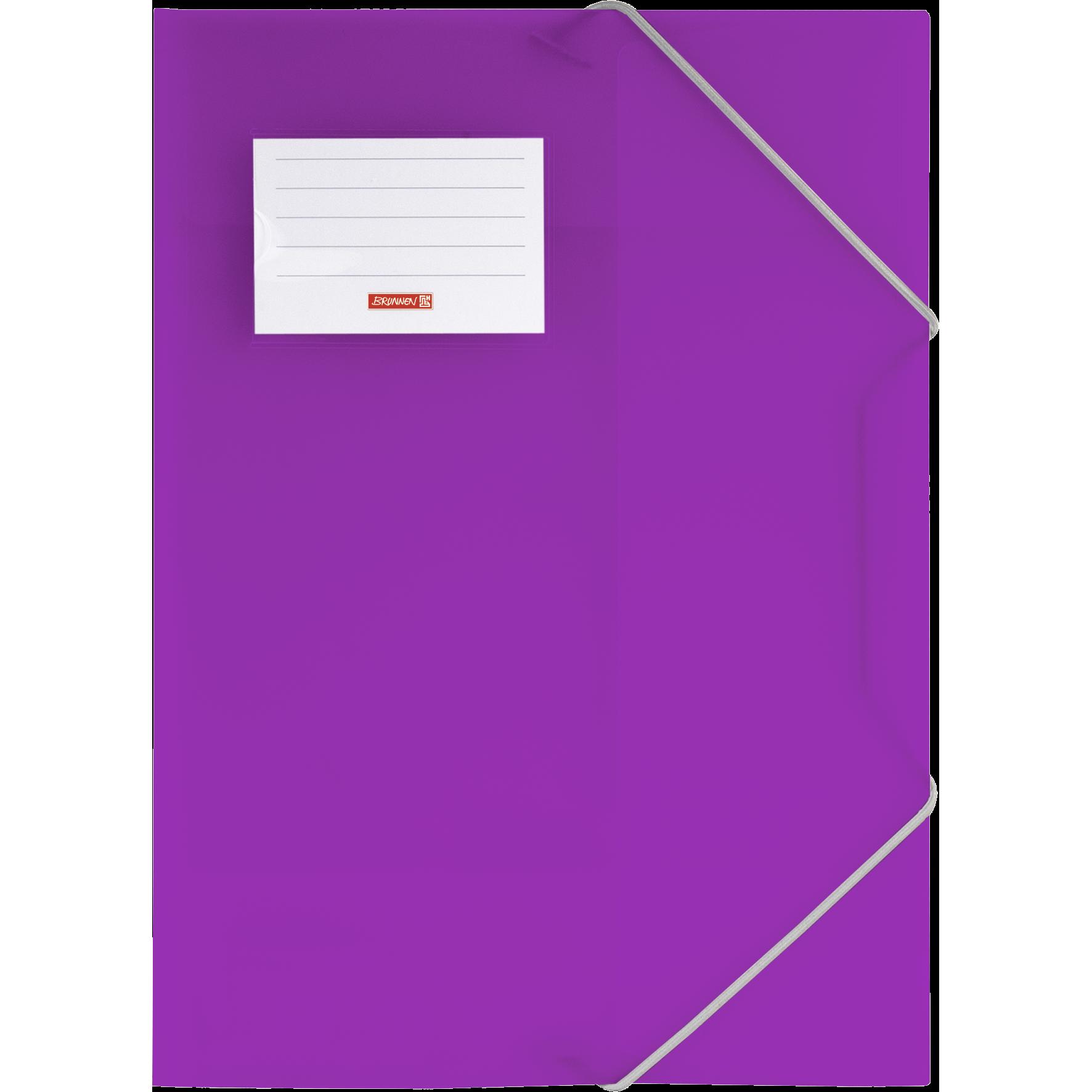 Brunnen, Mappe, Sammelmappe FACT!pp DIN A4 purple transparent (A4, 1 x)