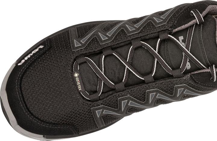 Produktbild Lowa Innox Pro GTX LO (45)