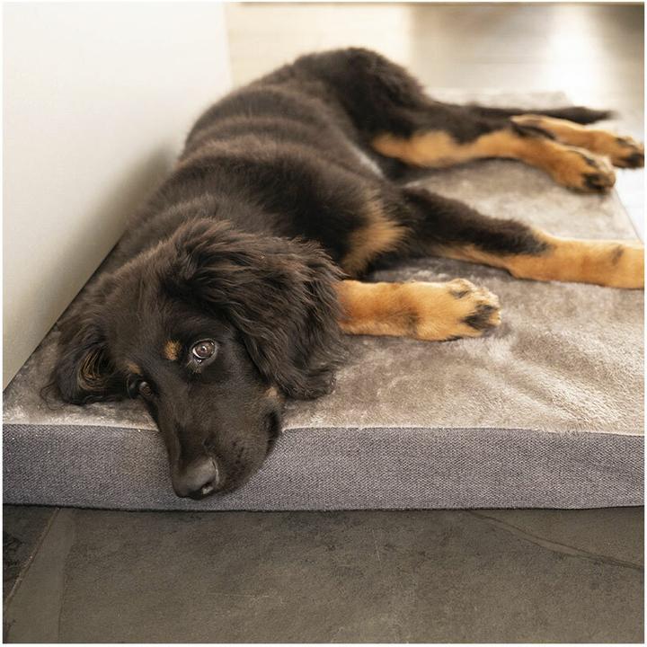 Actual product image Flamingo Carlota cushion grey M (Dog)