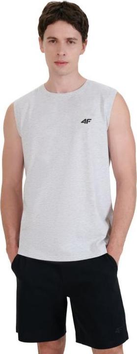 Produktbild 4F Herren-T-Shirt (XL)