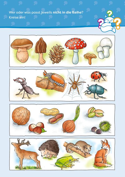 Produktbild Tessloff Wald-und-Wiesen-Rätselspass. Natur (Deutsch, Stefan Lohr, 2024)