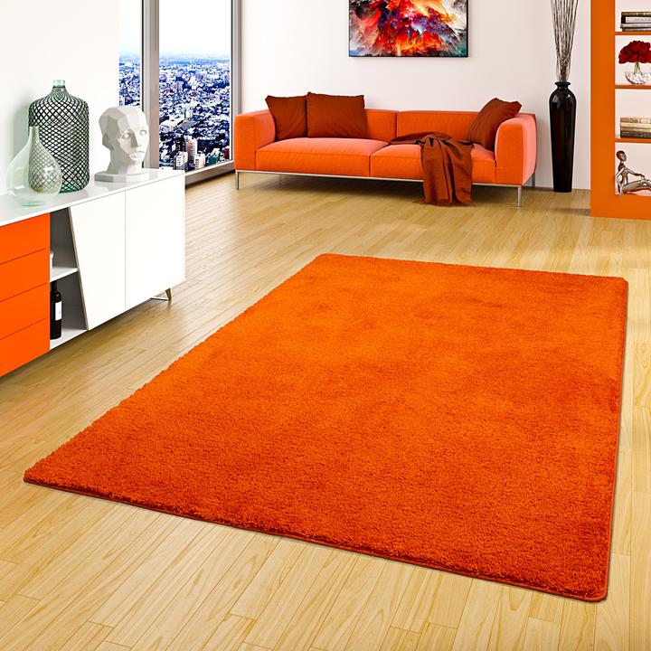 Actual product image Snapstyle Shaggy Carpet Palace (200 x 300 cm)