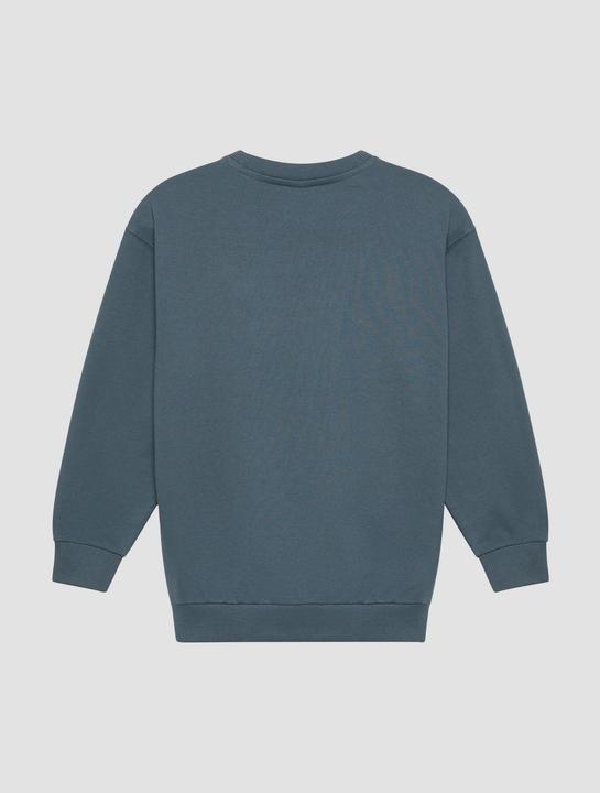 Produktbild S.Oliver Sweatshirt Unisex Sweatshirt mit Rippbündchen und Print (146, 152)