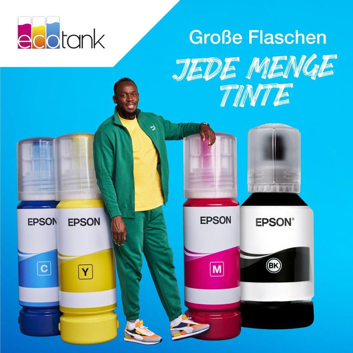 Productafbeelding Epson 113 (M)