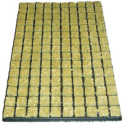 Image du produit Cultilene Plateau de boutures, 150 pcs à 2.5 x 2.5cm