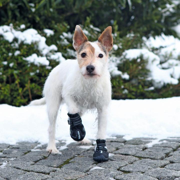 Image du produit Trixie Protège-pattes Walker Active Taille XS-S (XS, S, Chaussures pour chien)