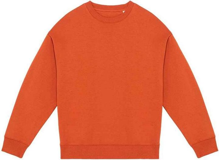 Produktbild Native Spirit Sweatshirt (XXL)