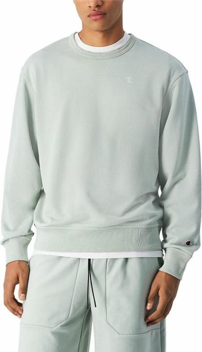 Actual product image Champion Crewneck Sweatshirt (S)