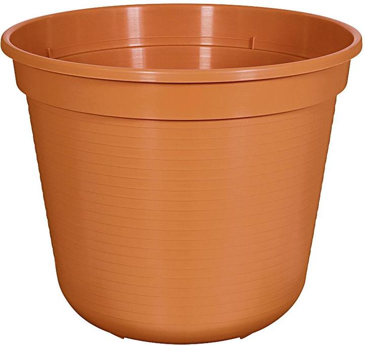 Geli Pflanztopf Standard 24cm terracotta (24 x 20 cm)