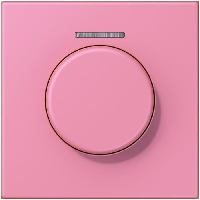 Actual product image JUNG Cover