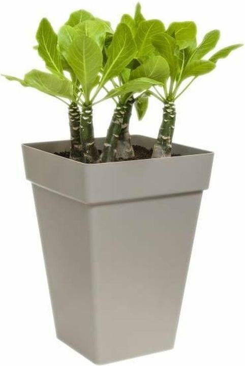 Immagine prodotto Elho Loft urbano (29.30 cm)