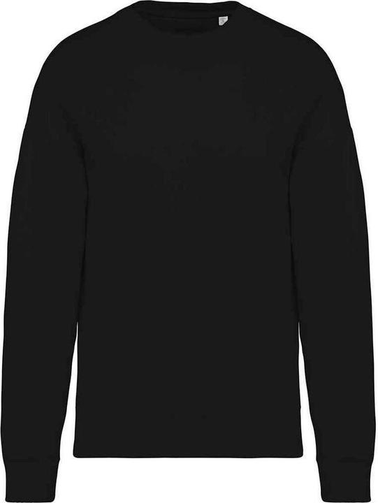 Actual product image Native Spirit Sweatshirt Oversized (L)