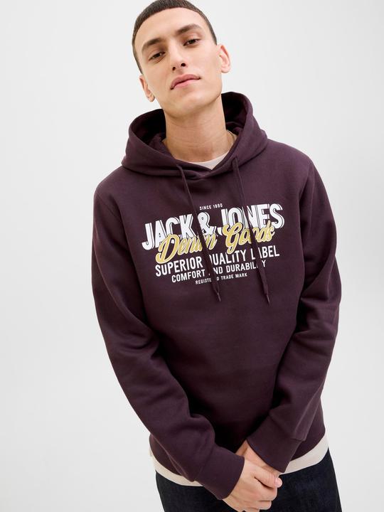 Actual product image Jack & Jones JJELOGO SWEAT HOOD 2 COL 25/26 NOOS (XXL)