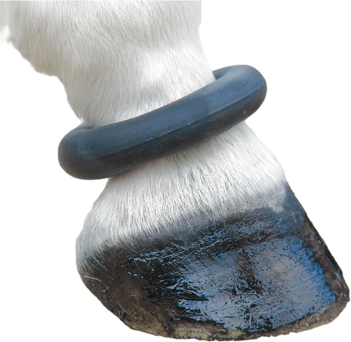 Shires Anneau de cheville en cuir