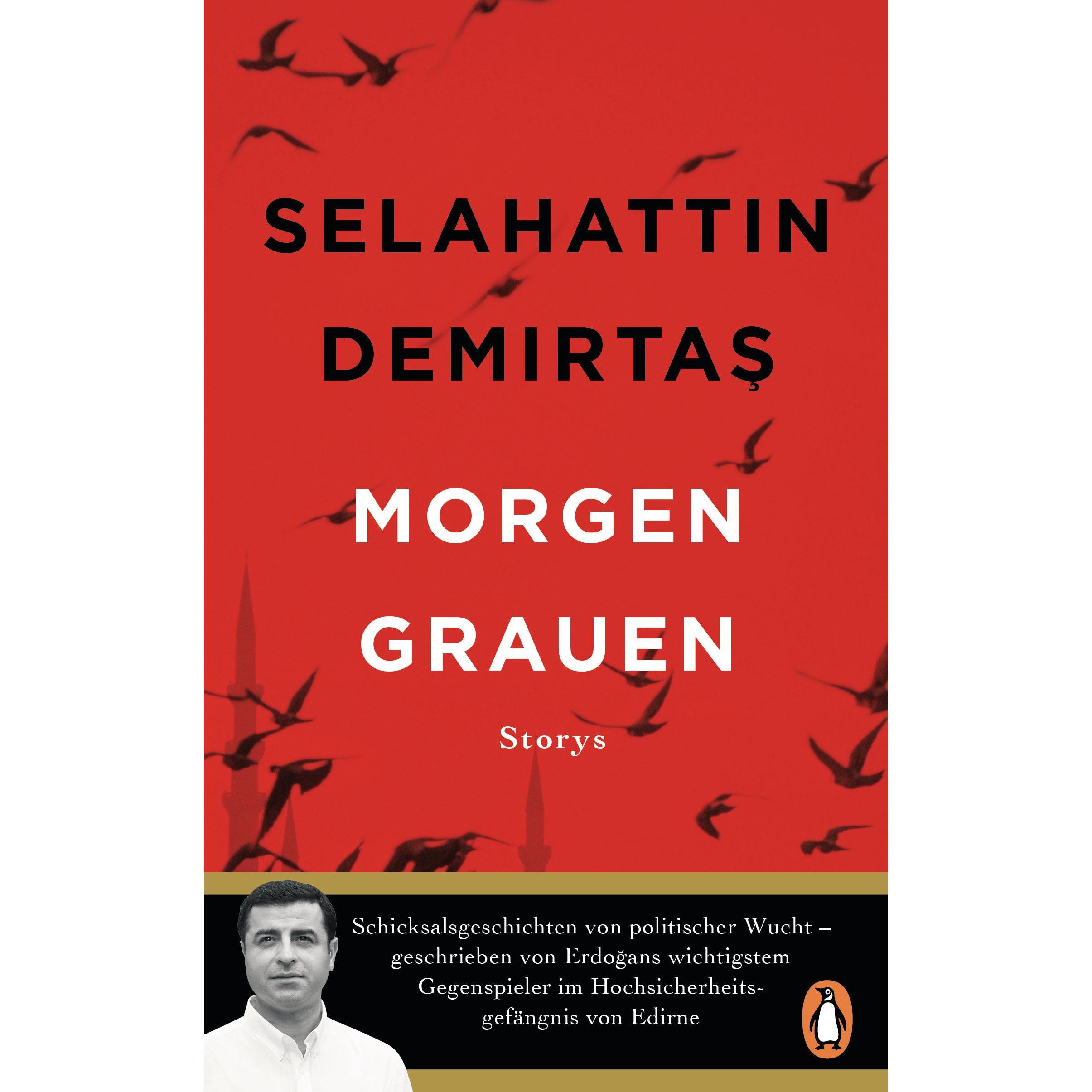 Morgengrauen, Belletristik von Selahattin Demirtaş