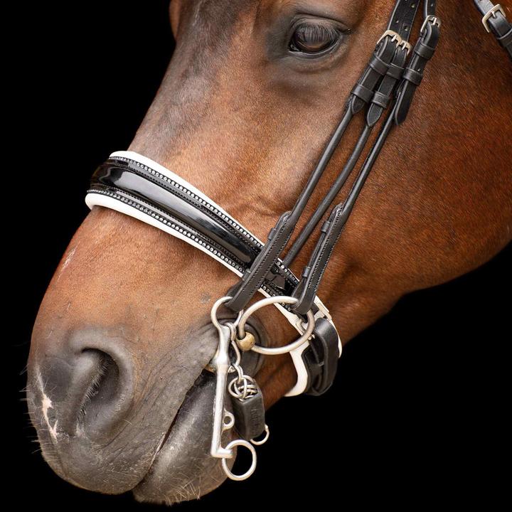 Immagine prodotto Imperial Riding Olympia