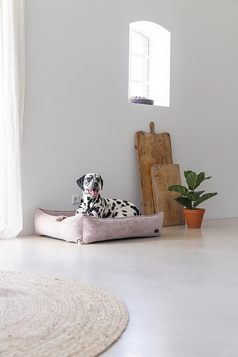 Immagine prodotto Designed by Lotte Divano letto a coste (Cane)