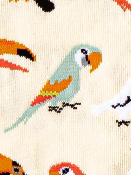 Image du produit DillySocks Aviaire de sable (Une unité par pack, Taille unique)