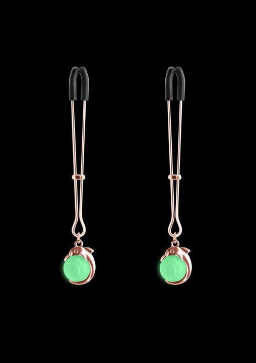 Produktbild NS Novelties Nippelklemmen G1