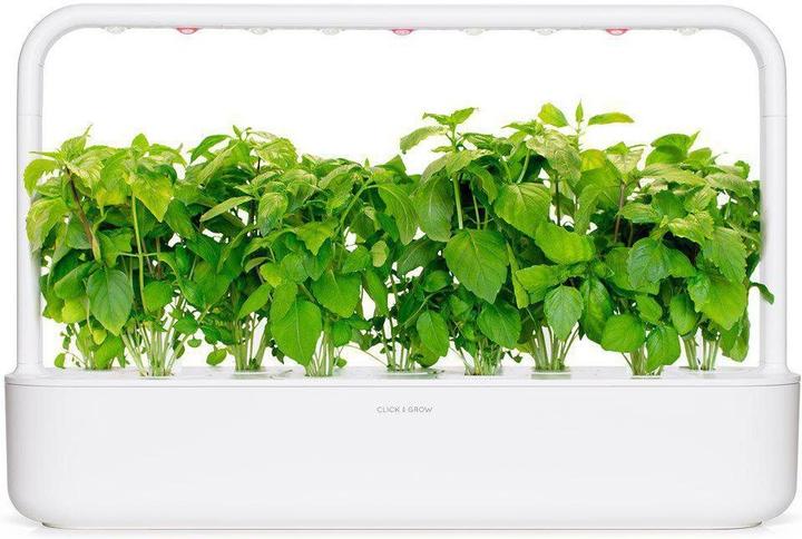 Produktbild Click and Grow Saatgut Zimtbasilikum (Kräutersamen)