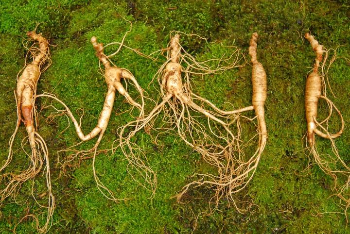 Actual product image Arkopharma Arkocaps Ginseng Kapseln (45 Piece, Capsules, 45 g)