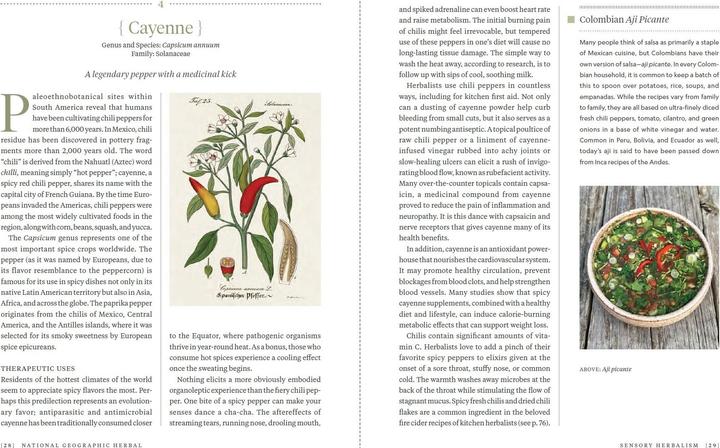 Produktbild National Geographic Die ganze Welt der Heilpflanzen (Deutsch, Mimi Prunella Hernandez, 2025)