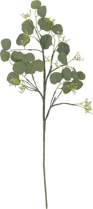 Immagine prodotto Bloomingville Eucalipto (82 cm)