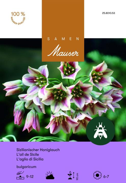 Produktbild Samen Mauser Allium bulgaricum Honiglauch (Blumensamen)