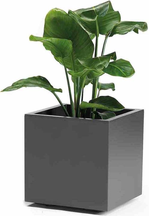 Produktbild Euro3plast Pflanzkübel (39.50 cm)