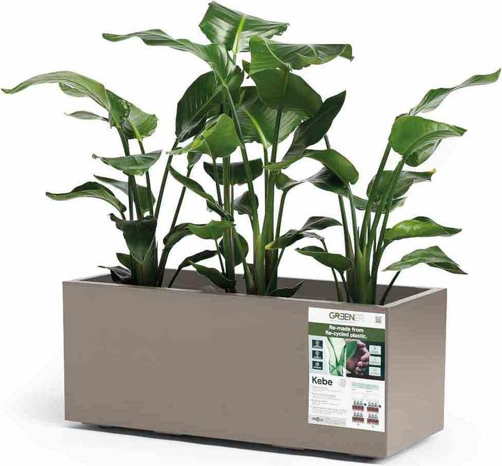 Planters